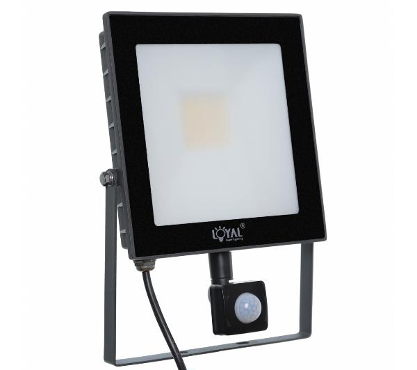 Loyal Lighting LY-FLES30 (S)