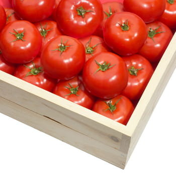 Pomidor 6kg