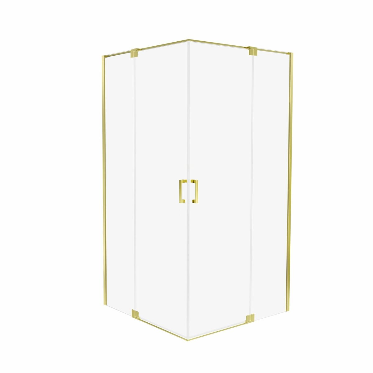 Kabina prysznicowa uchylna  110 x 80 x 200 Swing Wellneo