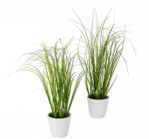 Flair Flower Sztuczna trawa w doniczce z kwiatami, wiązka trawy ryżowej, sztuczna roślina dekoracyjna, sztuczna trawa, roślina ozdobna, trawa, kępki trawy, dekoracja wiosenna, 30 cm, zestaw 2 szt