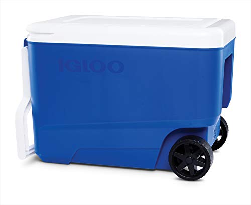 IGLOO Outdoor Wheelie Cool 38 pudełek, niebieski/biały, 36 litrów