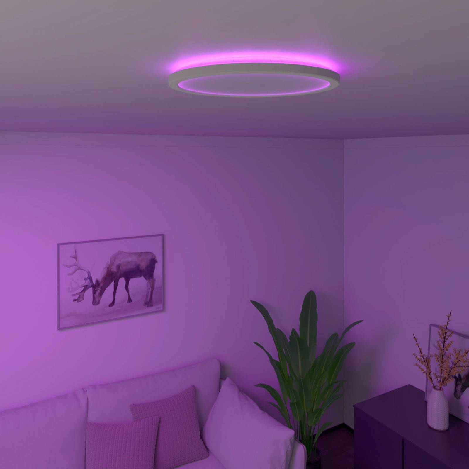 Calex Smart plafondlamp wit 29 5 cm incl. LED RGBW IP54 - Siem