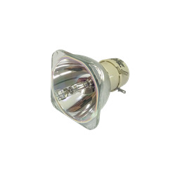 Lampa do OPTOMA DAEHHGL - zamiennik oryginalnej lampy bez modułu