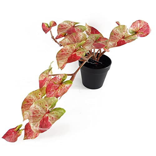 Leaf Design UK Realistyczne sztuczne liście roślina z doniczką
