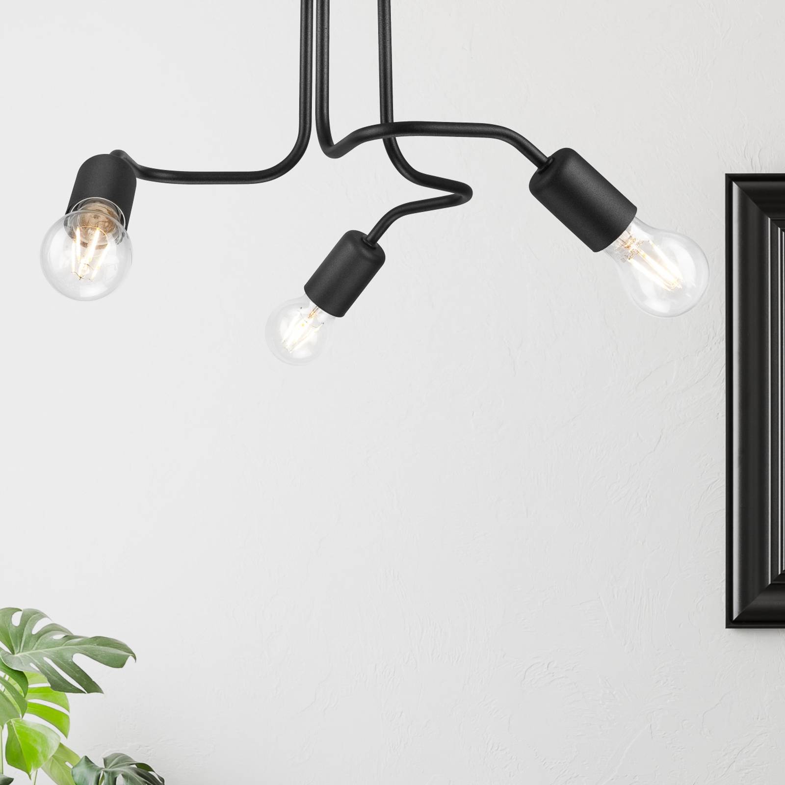 Euluna Lampa sufitowa Joiy, dzielona, 3-punktowa, czarna