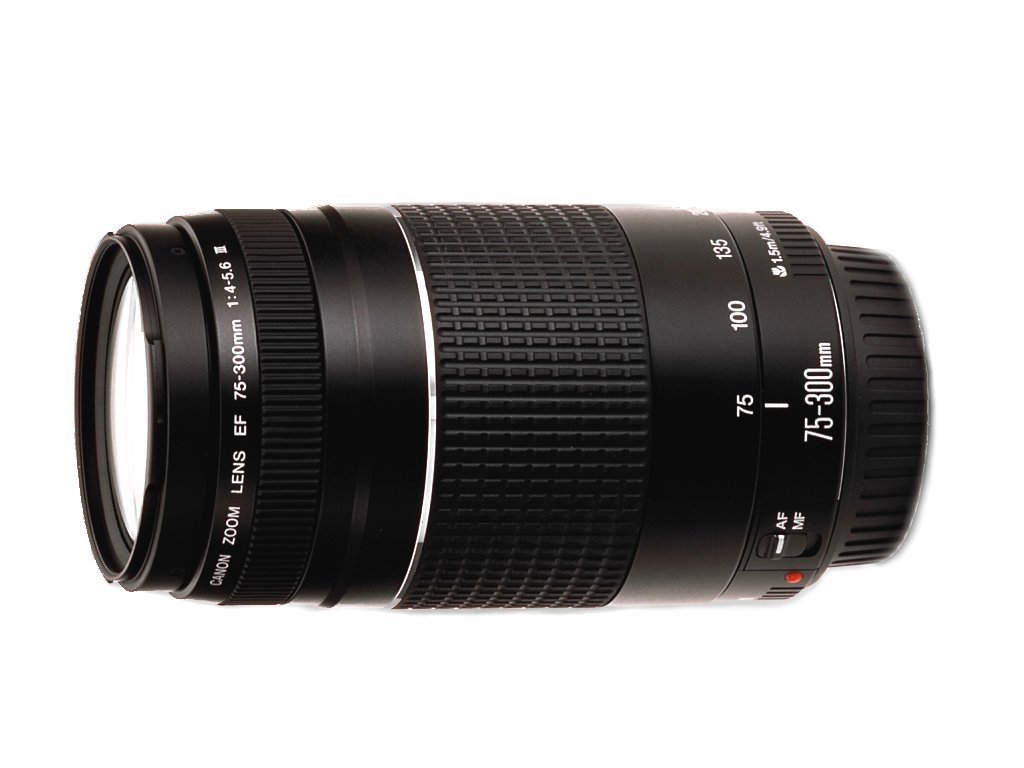 CANON EF 75-300 mm f/4.0-5.6 III 