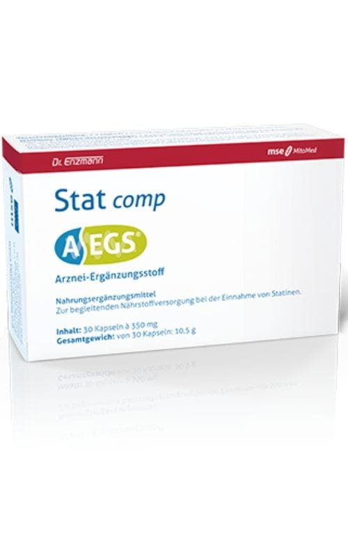 Dr. Enzmann MSE AEGS Stat Comp MSE (30 kaps.)