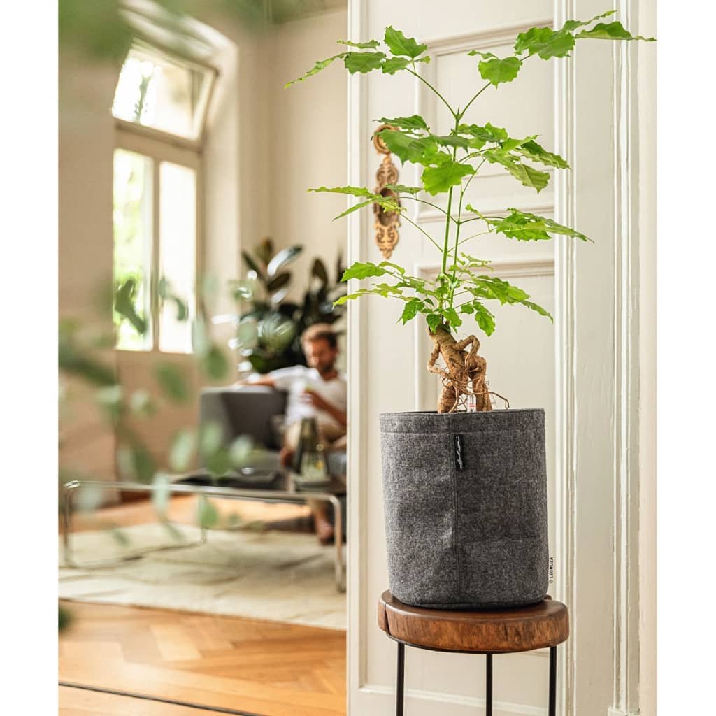 Lechuza Doniczka TRENDCOVER 23 Felt, all-in-one, ciemnoszara