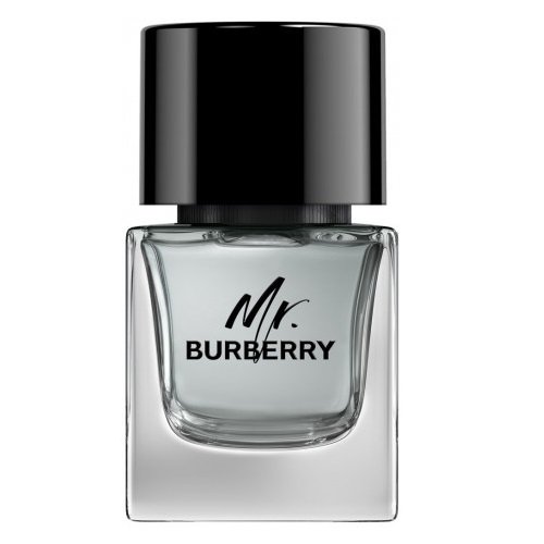 Mr Burberry - Woda Toaletowa