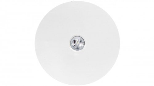 AWEX Oprawa awaryjna AXN IP65 LED 6W 600lm opt koryt 1h jednozadaniowa AT biała AXNC/6W/B/1/SE/AT/WH AWEX 0001-00010-75778