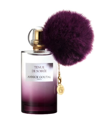 Annick Goutal Tenue de Soirée Eau de Parfum Spray 100 ml