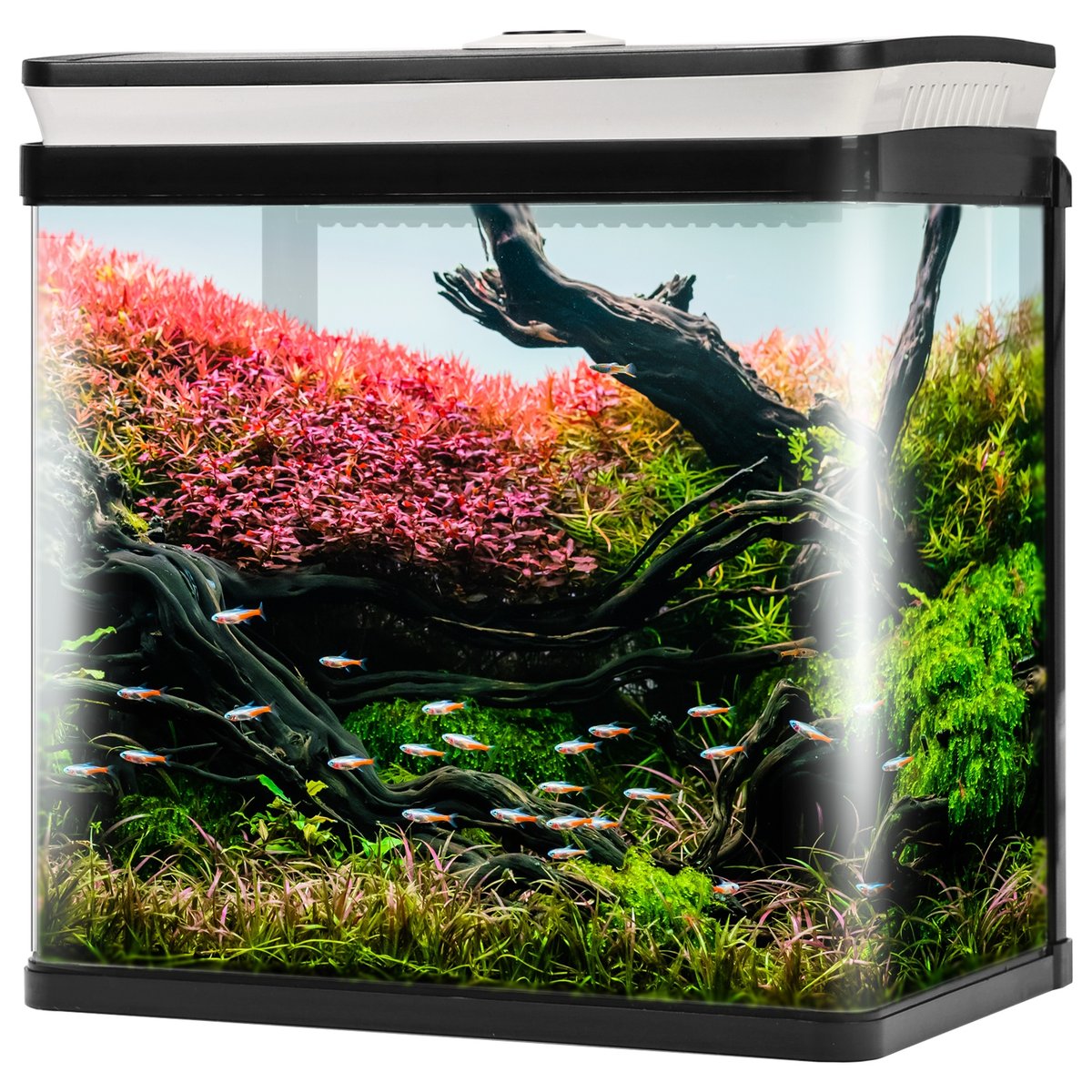 SunSun HGR-300 - Akwarium zestaw czarny 14l SunSun Akwarium HGR-300 BLACK