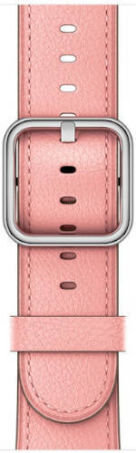 Apple 42mm Classic Buckle - watch strap MRP62ZM/A