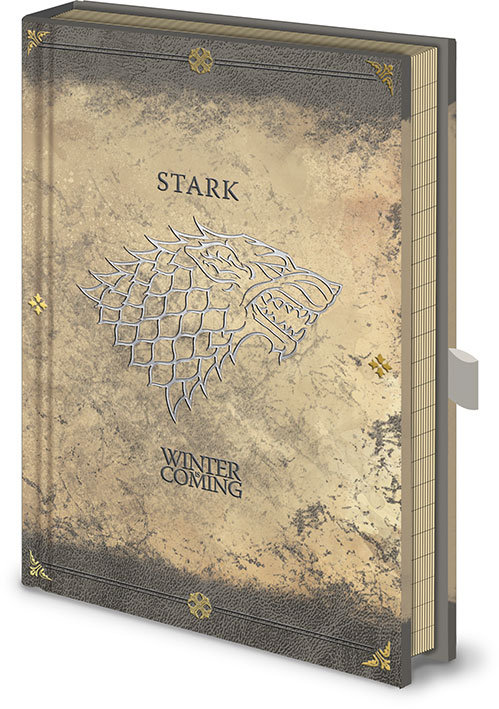 Pyramid Posters Game Of Thrones Stark Worn - notes 21x14,8 SR72522