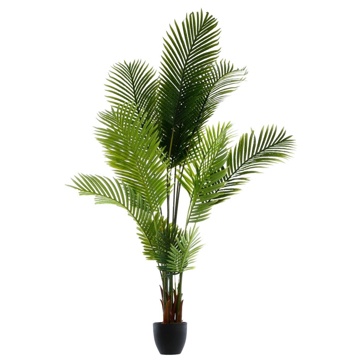 Drzewko palmowe w doniczce 180 cm