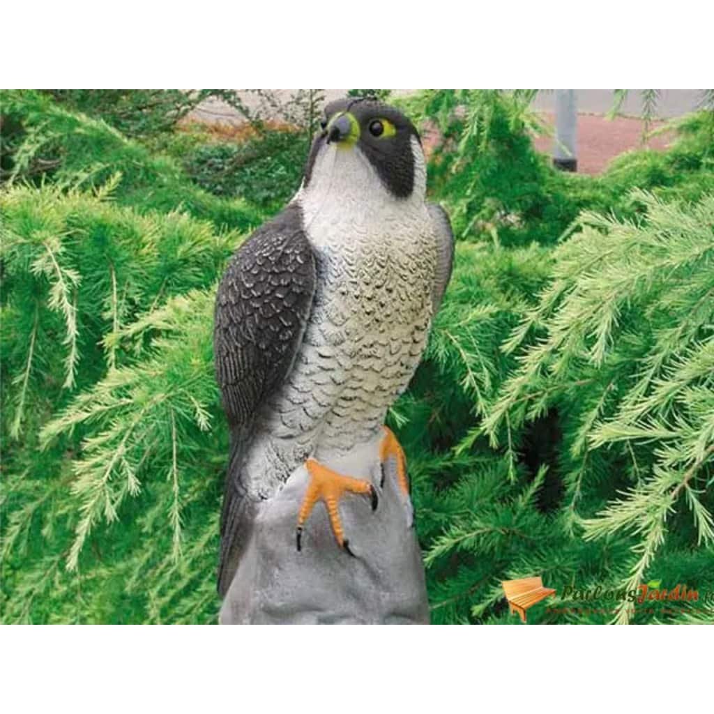 Outsideliving Ubbink Figurka sokoła 40 cm