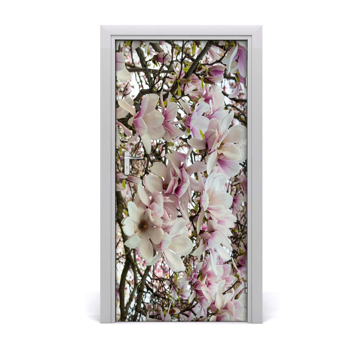 Nalepka naklejka fototapeta DRZWI Kwiaty magnolii, Tulup