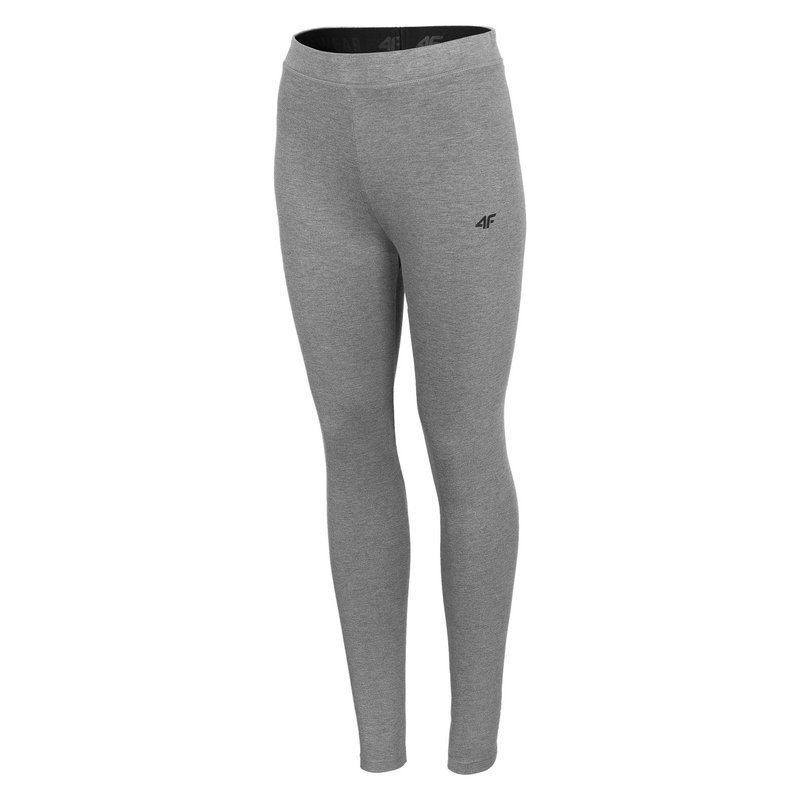 Legginsy damskie LEG010 4F szare