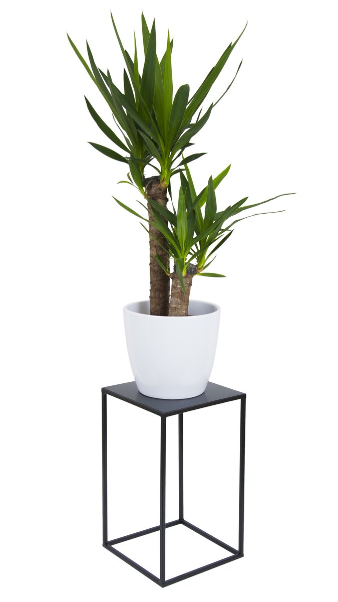 Nowoczesny Kwietnik Stojący 40 Cm Czarny Loft Industrialny