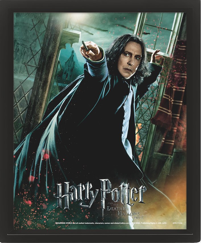 obraz w ramie 3D HARRY POTTER - DEATHLY HALLOWS SNAPE