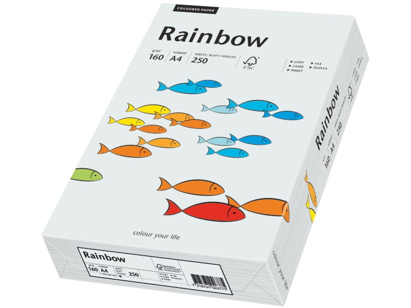 Papyrus Papier Rainbow A4 80g jasno szary R93 88042783