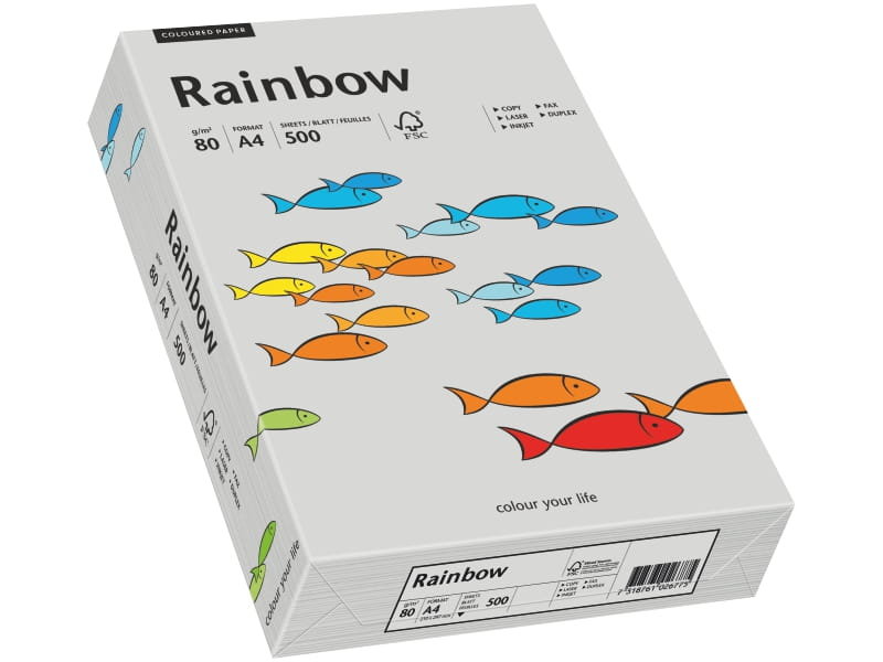 Papyrus Papier Rainbow A4 80g szary R96 88042805