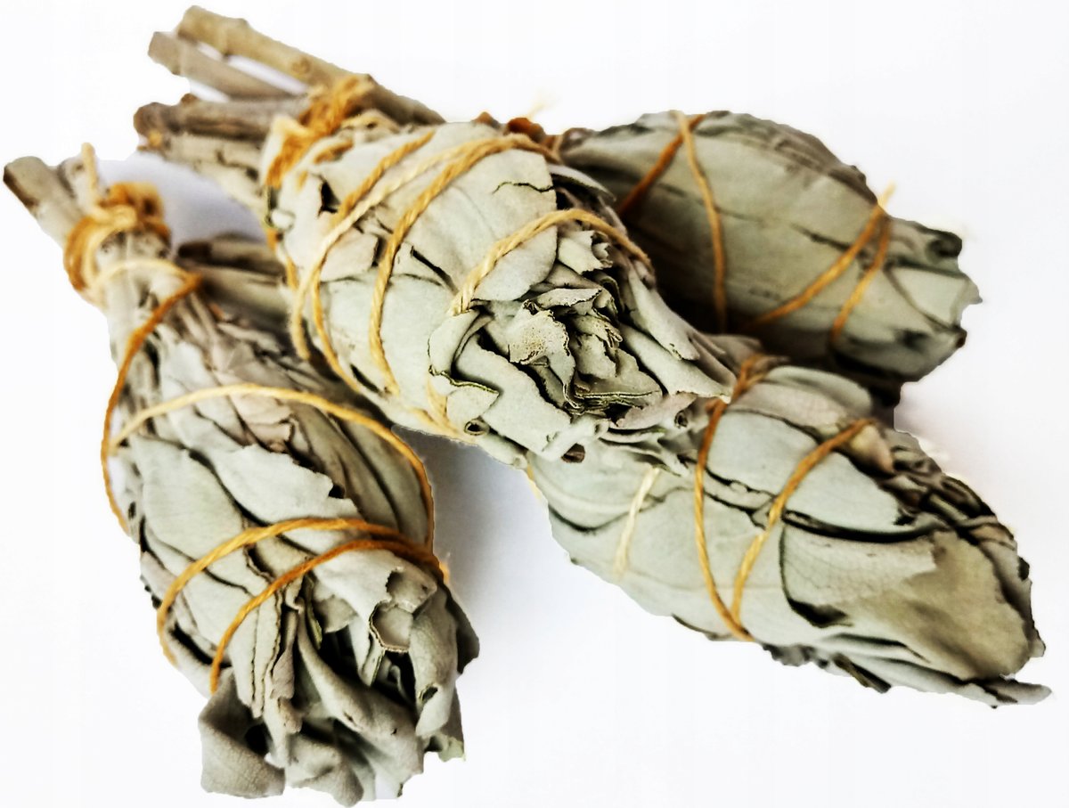 4x Biała szałwia wysoka jakość pęczek