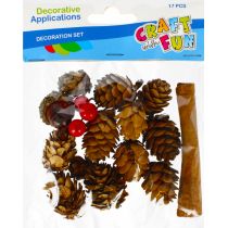 Craft with Fun Szyszki naturalne z akcesoriami 17 szt.