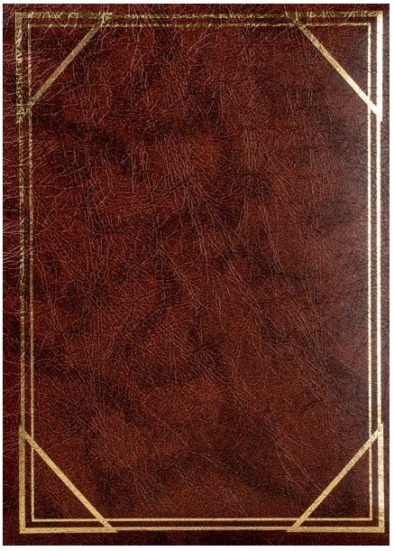 Lotmar Album na zdjęcia fotoalbum 300 zdjęć B 46300/2S VINYL 2 AA586LTM