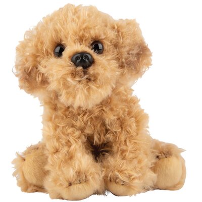 Maskotka SUKI Pies Labradoodle 12137