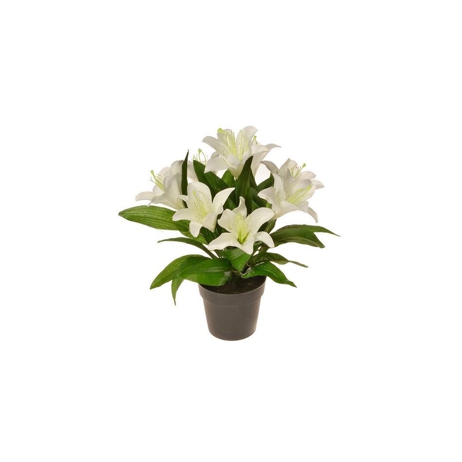 Sztuczna Lilia wielokwiatowa w doniczce, biały, wys. 30 cm