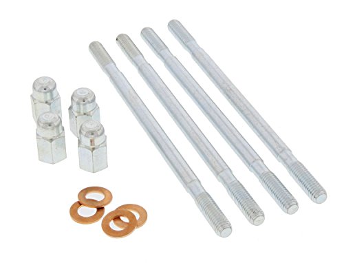 Trzpień cylindryczny i nakrętki (4 sztuki) M6 x 118 mm Polini/Big Evolution