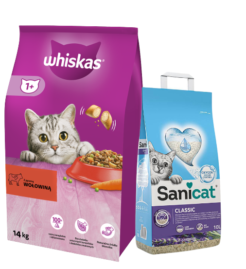 WHISKAS Adult 14 kg - sucha karma dla dorosłego kota, z pyszną wołowiną + SANICAT CLASSIC LAVENDER 10L