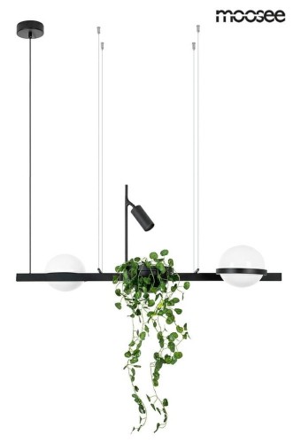 Moosee lampa wisząca PLANT czarna MSE010100156 [18222133]