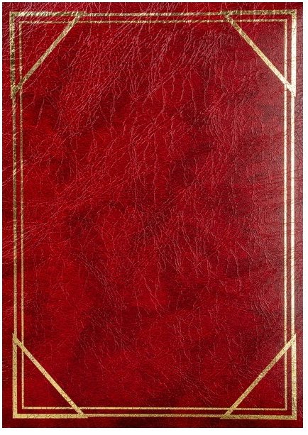 Lotmar Album na zdjęcia fotoalbum 300 zdjęć 46300/2S VINYL AA585LTM