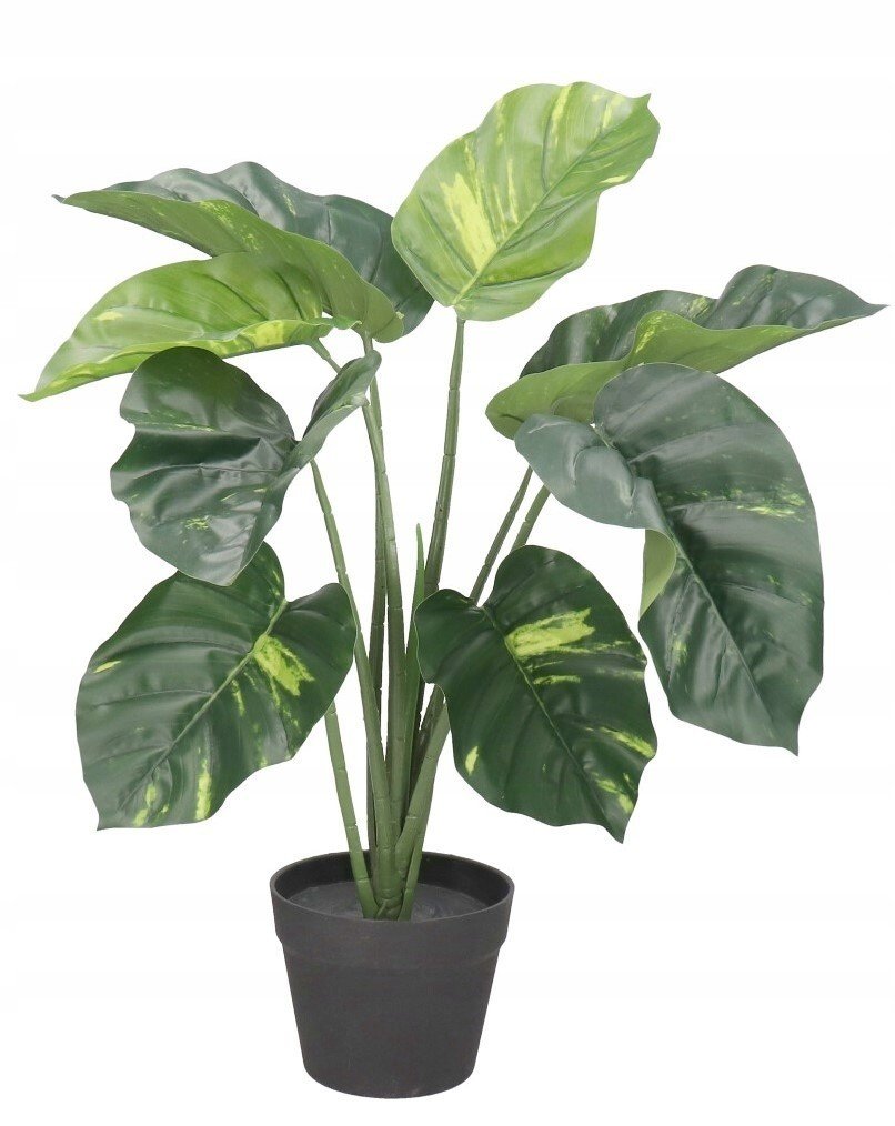 DIFENBACHIA W DONICZCE SZTUCZNE KWIATY JAK ŻYWA