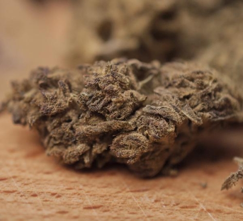 Susz CBD Remedium Northern Lights 8.4%