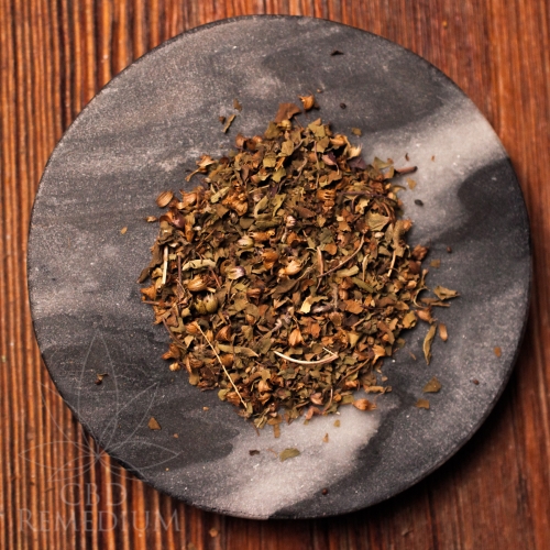 Bazylia indyjska Tulsi 15g