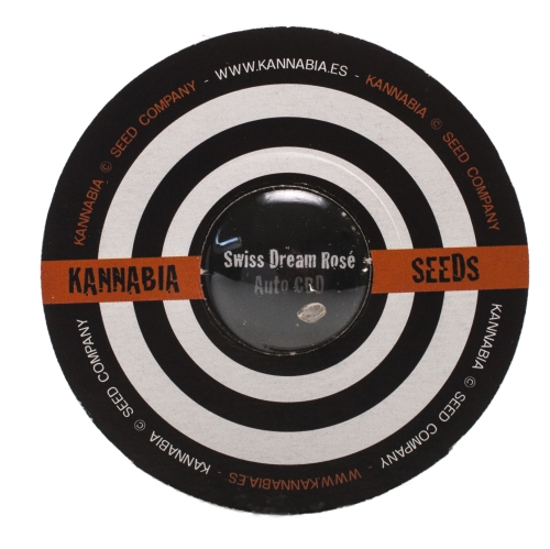 Nasiona konopi CBD Kannabia - Swiss Dream Rose Auto CBD (Fem.) 1szt.