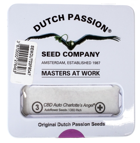 Nasiona konopi CBD Dutch Passion - CBD Auto Charlotte's Angel (Fem.) 3szt.