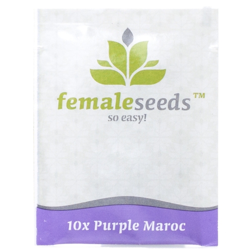 Nasiona konopi Female seeds - Purple Maroc (Fem.) 10szt.