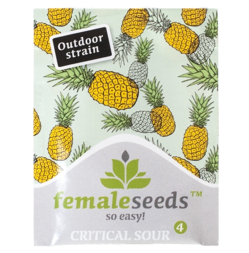 Nasiona konopi Female seeds - Critical Sour (Fem.) 4szt.