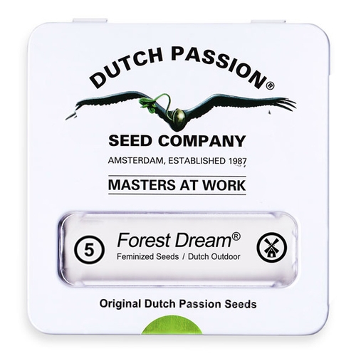 Nasiona konopi Dutch Passion - Forest Dream (fem) 5 szt.