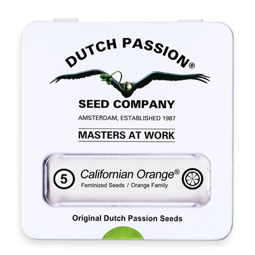 Nasiona konopi Dutch Passion - California Orange (fem) 5 szt.