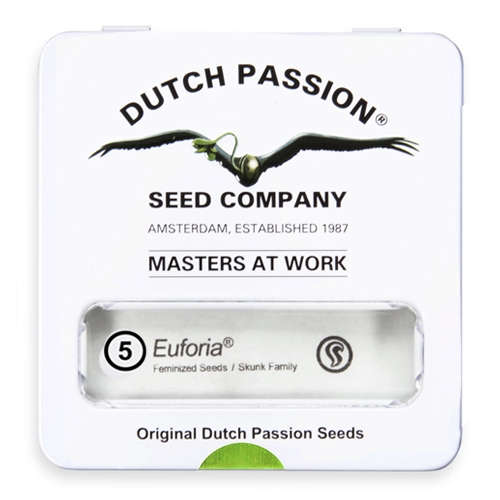 Nasiona konopi Dutch Passion - Euforia (fem) 5 szt.