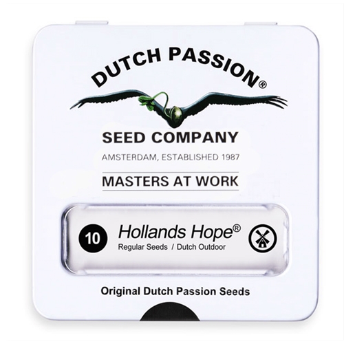Nasiona konopi Dutch Passion - Hollands Hope (regular)10 szt.