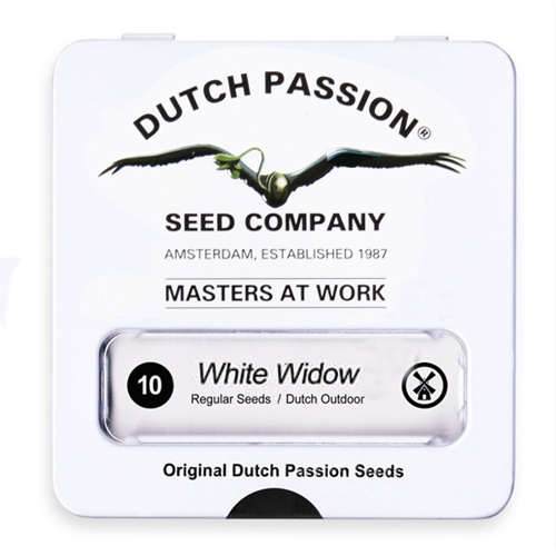 Nasiona konopi Dutch Passion - White Widow 10 szt.