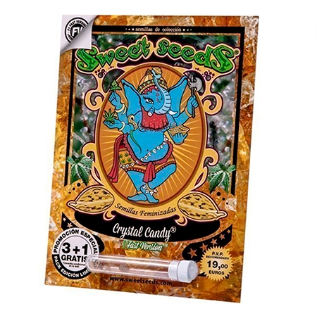 Nasiona konopi Sweet Seeds - Crystal Candy Fast Version (fem.) 4 szt.