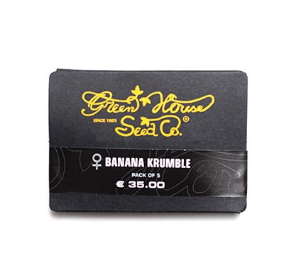 Nasiona konopi CBD - Banana Krumble (fem.) 5szt.