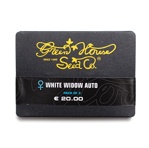 Nasiona konopi CBD - White Widow Auto (fem.) 3szt.